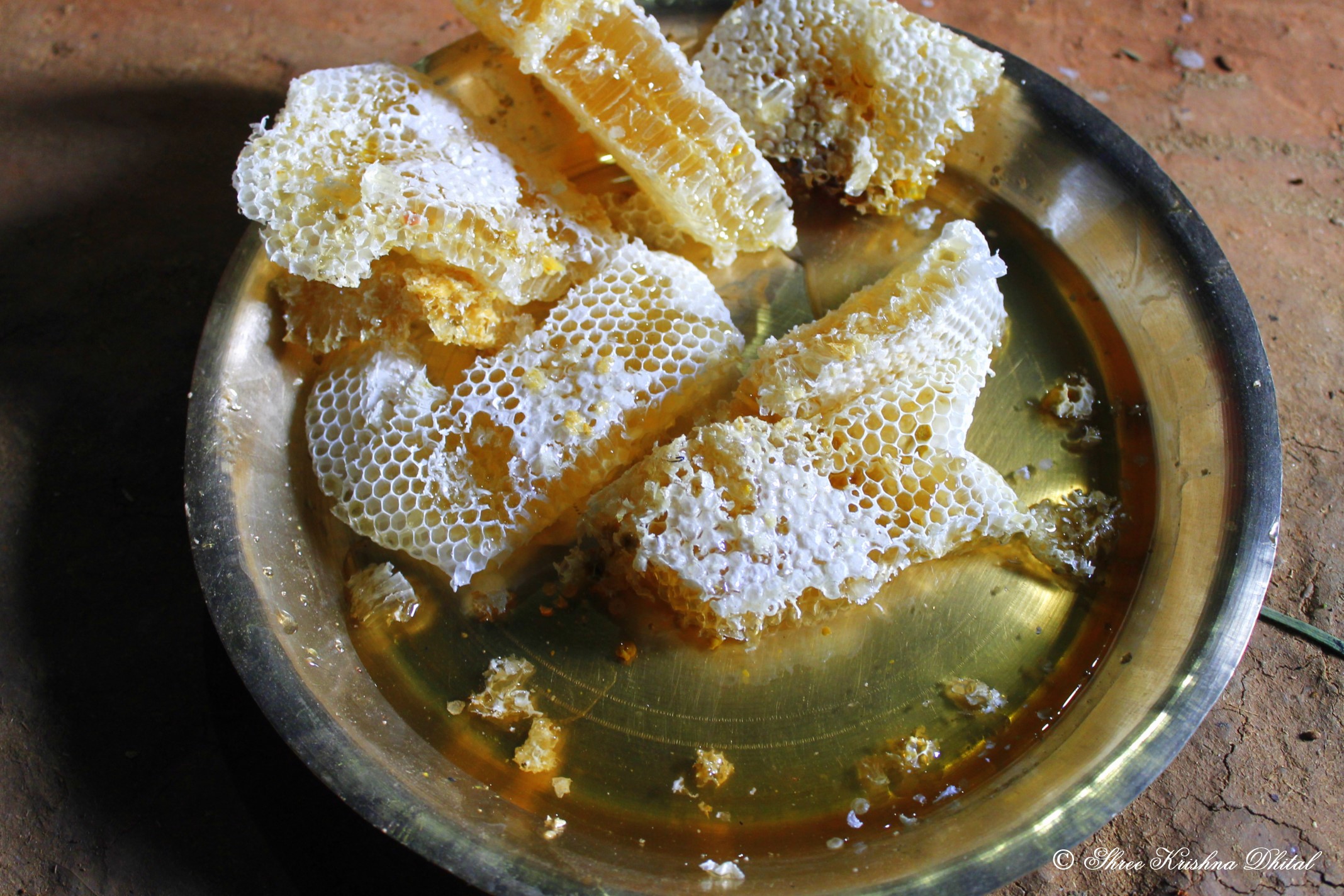 تکه های موم عسل در ظرف